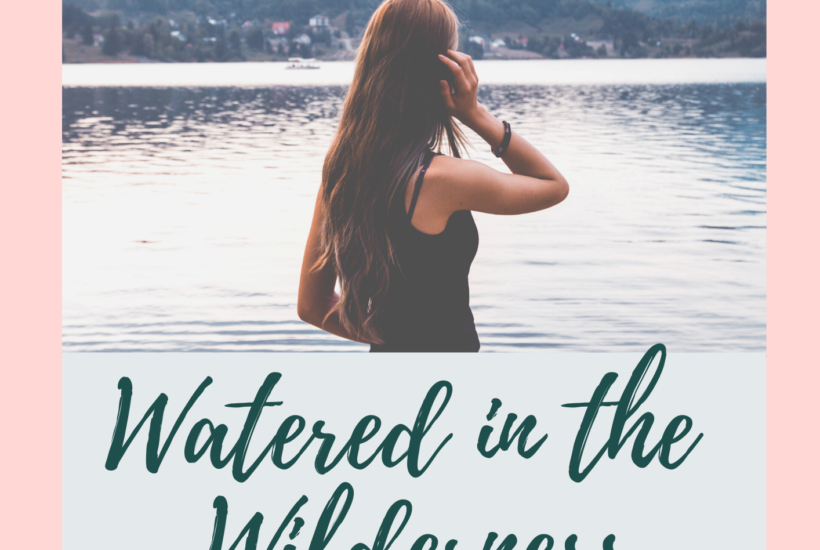 infertility devotional watered in the wilderness